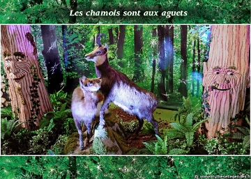 Exposition La Forêt Enchantée (47) Chamois
